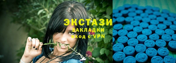 стаф Верея