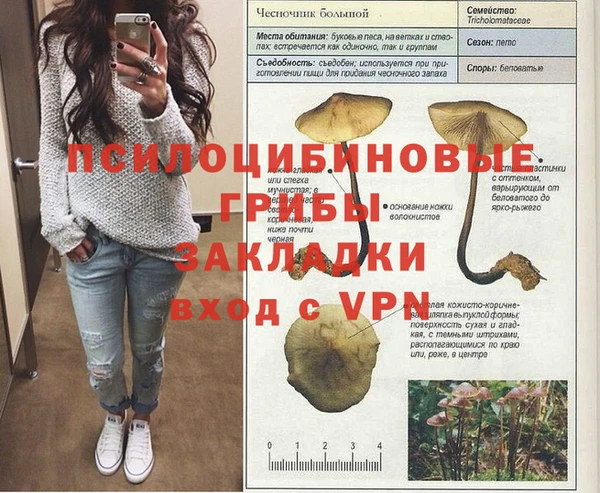 стаф Верея