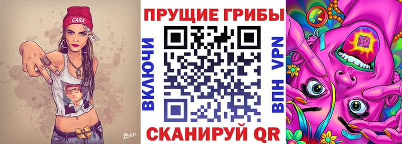 Галлюциногенные грибы прущие грибы  блэк спрут как зайти  Выборг 