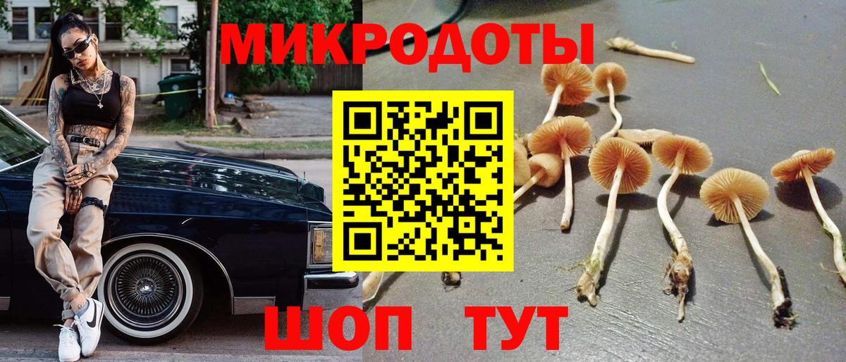 Псилоцибиновые грибы GOLDEN TEACHER  купить  цена  Выборг  Вход с VPN  Галлюциногенные грибы Magic Shrooms 